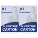 Allwetter-Carton DIN A0